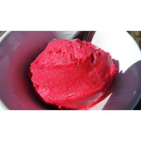 SORBET CASSIS 1/2L