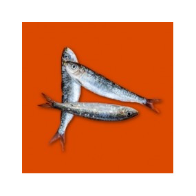 SARDINES ENTIÈRES 500G