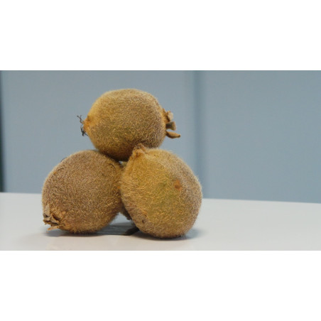 KIWI 0.5KG