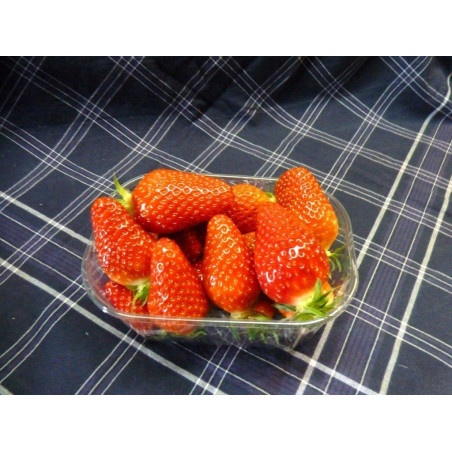 FRAISES GARIGUETTE 250G