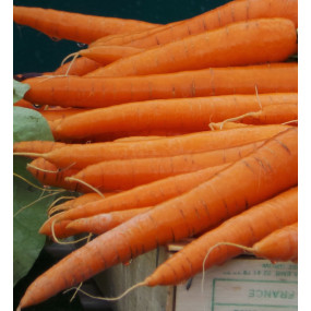CAROTTES NOUVELLES BIO 1kg