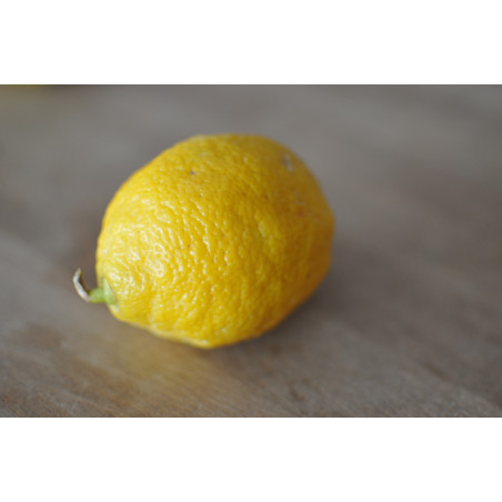 CITRON ( EN LIBRE SERVICE AU MAGASIN)