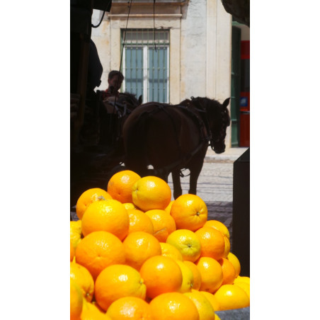 CLÉMENTINES ET ORANGES (AU MAGASIN)