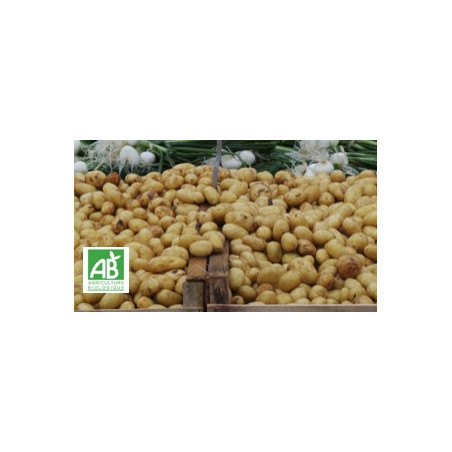 PDT BIO 1KG