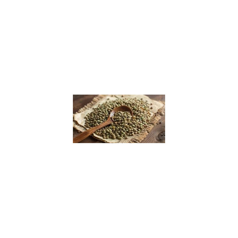 LENTILLES VERTES 0.5KG