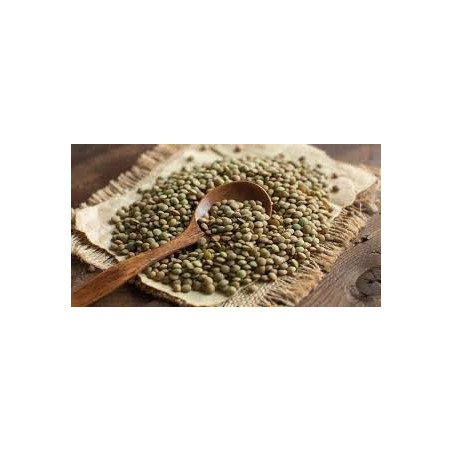 LENTILLES VERTES 1KG