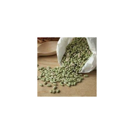 FLAGEOLETS VERTS 0.5KG