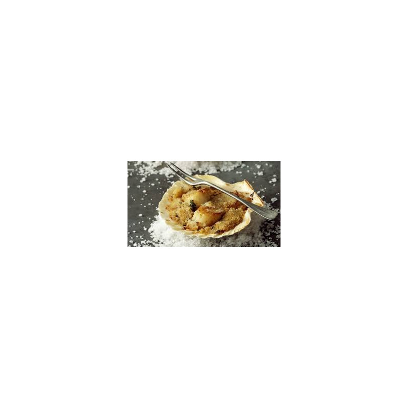 2 COQUILLES CUISINÉES 2 COQUILLES CUISINÉES