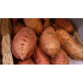 PATATE DOUCE 1KG