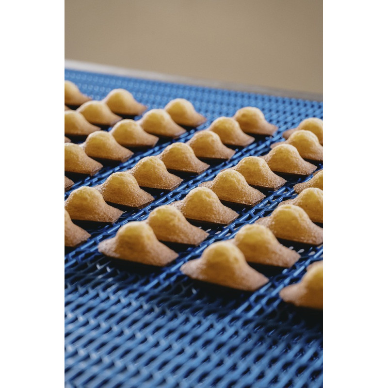 MADELEINES PUR BEURRE - 330 gr