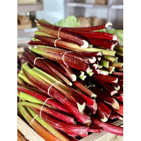 RHUBARBE 1KG