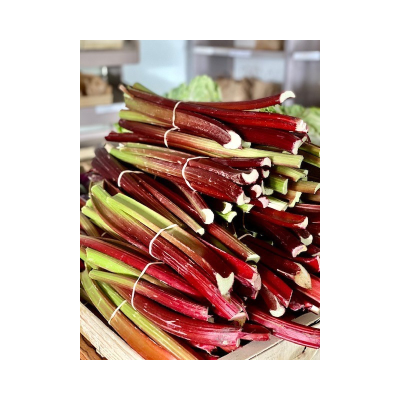 RHUBARBE 1KG RHUBARBE 1KG
