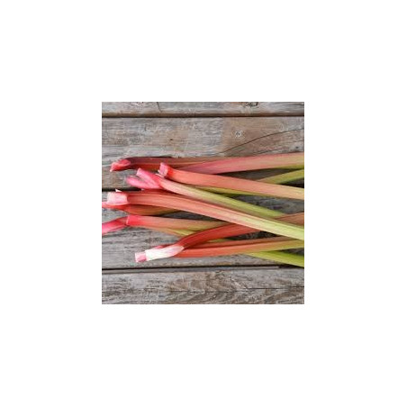 RHUBARBE 1 KG