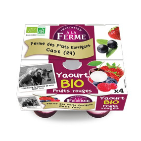 BRASSÉS BIO FRUITS ROUGES X 4