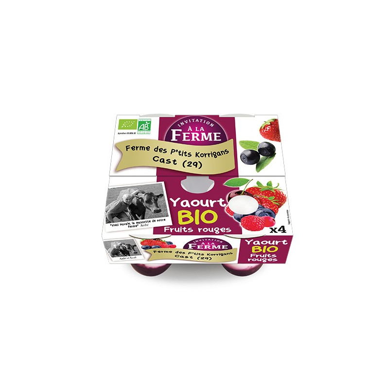 YAOURT BRASSÉ BIO FRUITS ROUGES -  ( 4 x 125 GR)