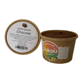 CRÈME GLACÉE  CHOCOLAT - 230 GR