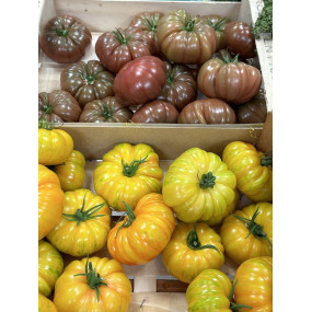 1KG TOMATES VARIÉES