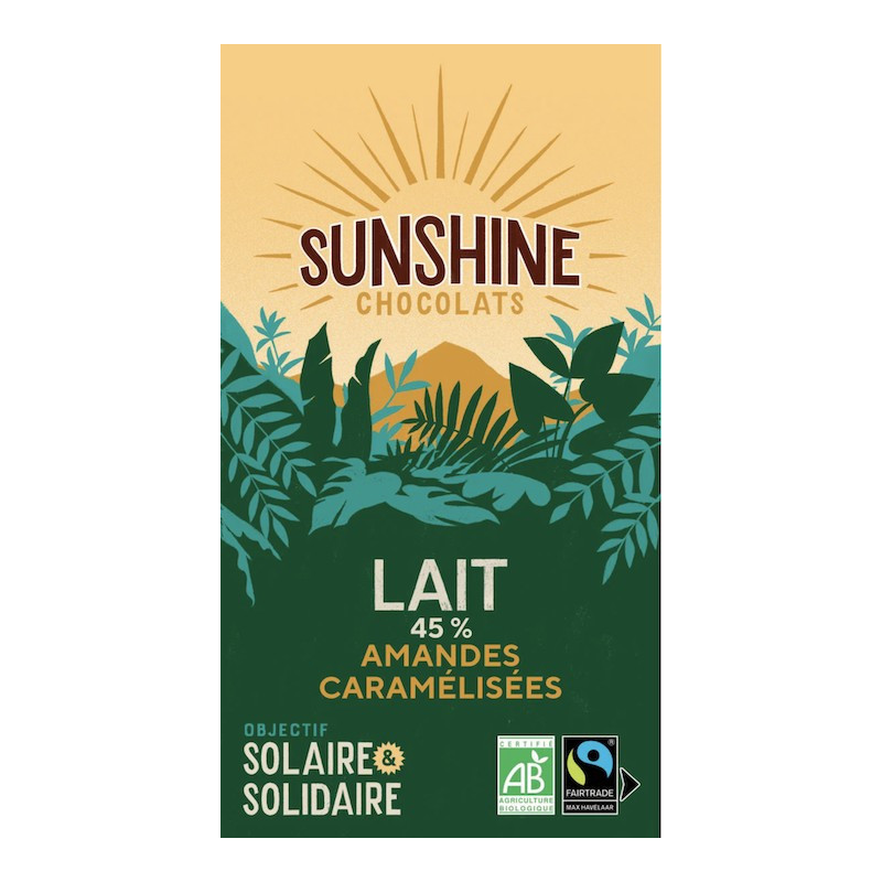 SUNSHINE LAIT NOISETTES & RAISINS 45% SUNSHINE LAIT NOISETTES & RAISINS 45%