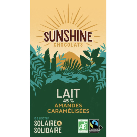 SUNSHINE LAIT NOISETTES & RAISINS 45% 