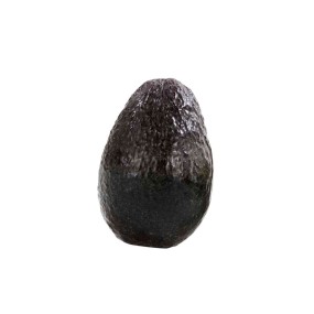 AVOCAT X1
