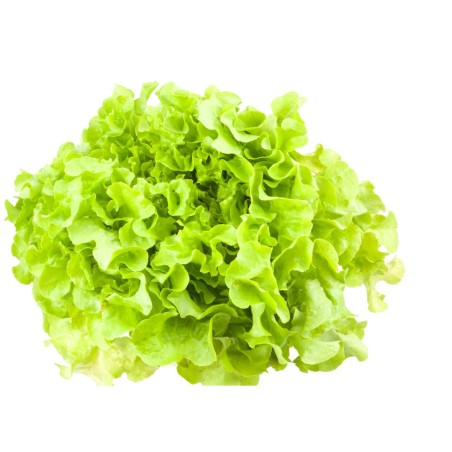 www.lesfermiersdunet.com légumes frais direct producteur terroir rencontre