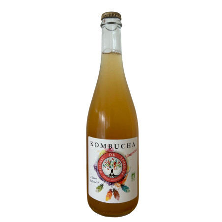 Gingembre - Kombucha - 75 cl