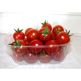 TOMATES CERISES 