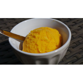 SORBET MANGUE