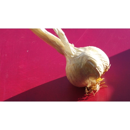 AIL  BIO 250g